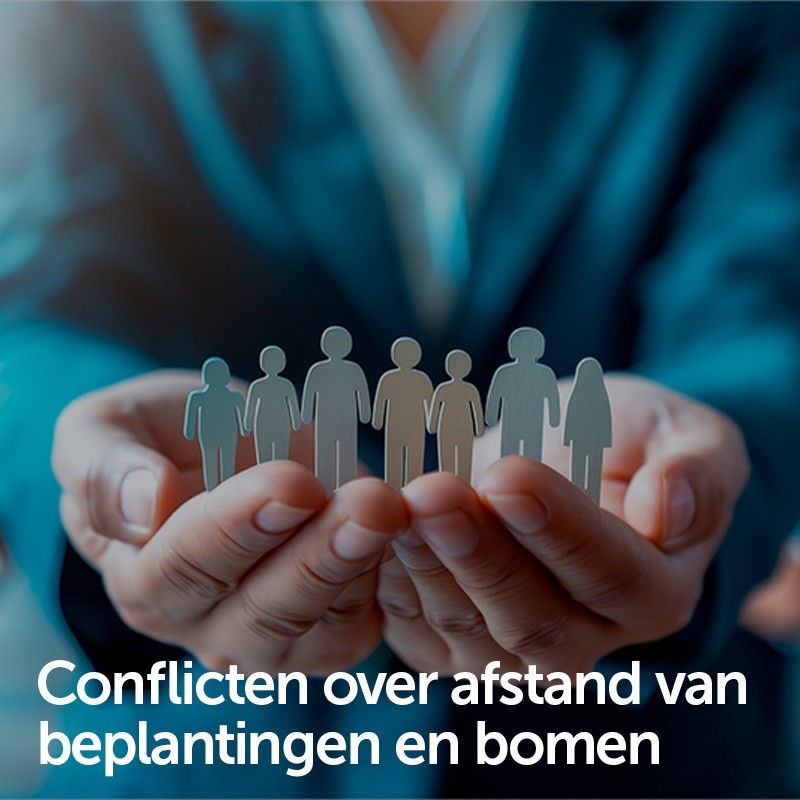 Conflicten over afstand van beplantingen en bomen