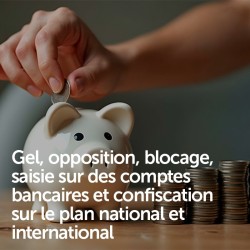 Gel, opposition, blocage, saisie sur des comptes bancaires et confiscation sur le plan national et international