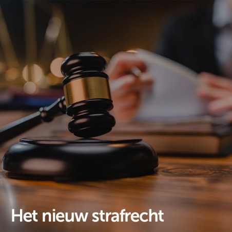 Het nieuw strafrecht