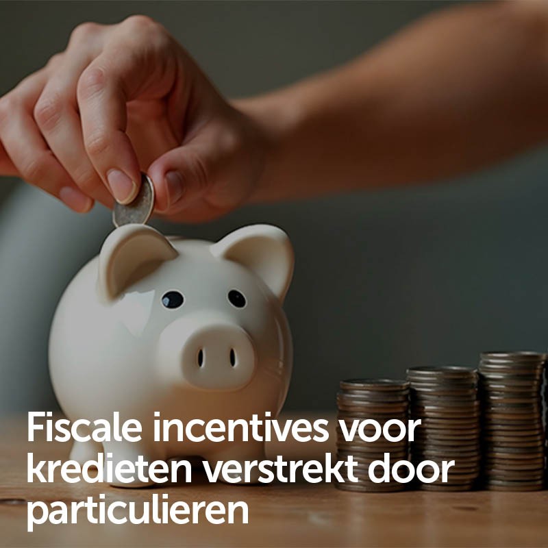 Fiscale incentives voor kredieten verstrekt door particulieren