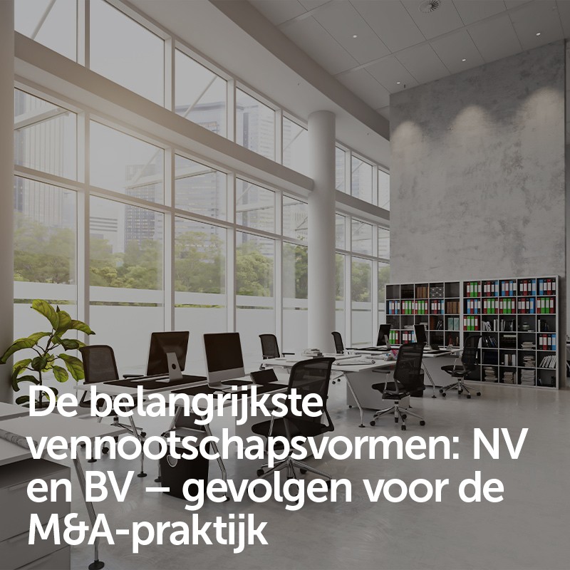 Grondige studie vennootschapsrecht: De belangrijkste vennootschapsvormen: NV en BV – gevolgen voor de M&A-praktijk