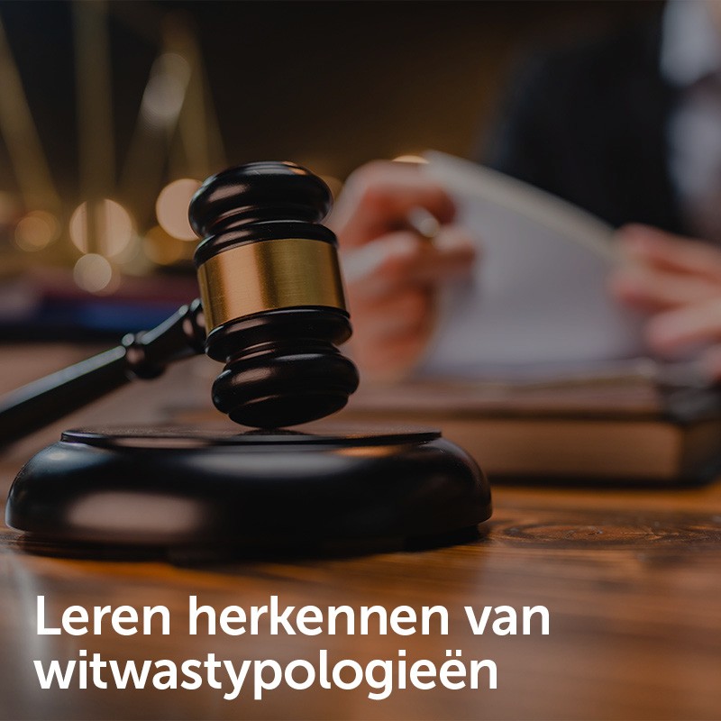 Leren herkennen van witwastypologieën