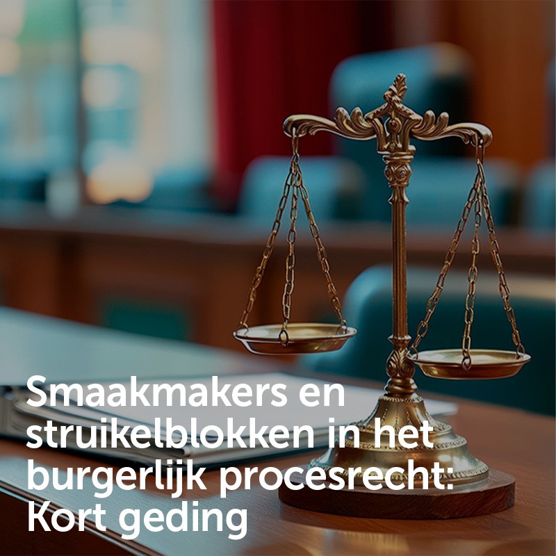 Smaakmakers en struikelblokken in het burgerlijk procesrecht: Kort geding