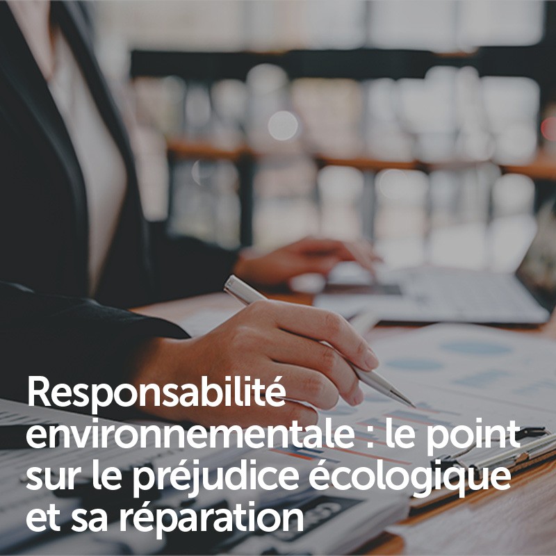 Responsabilité environnementale : le point sur le préjudice écologique et sa réparation