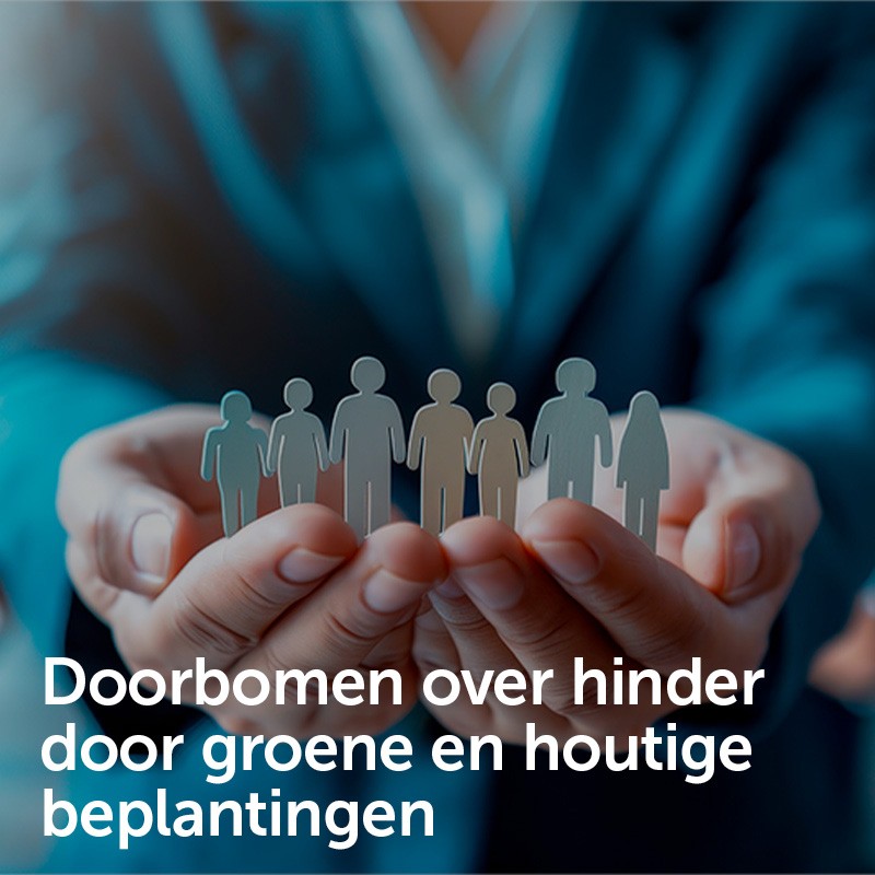 Doorbomen over hinder door groene en houtige beplantingen