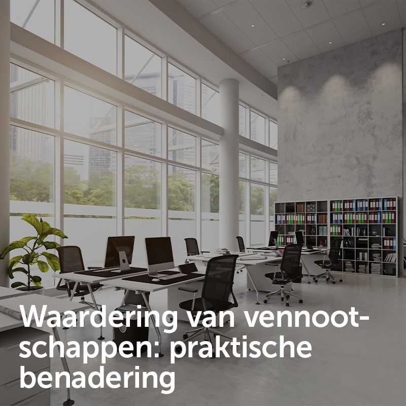 Waardering van vennootschappen: praktische benadering