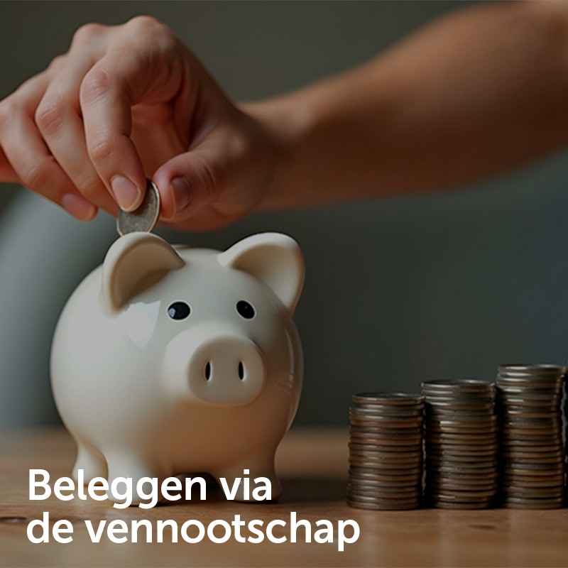 Beleggen via de vennootschap